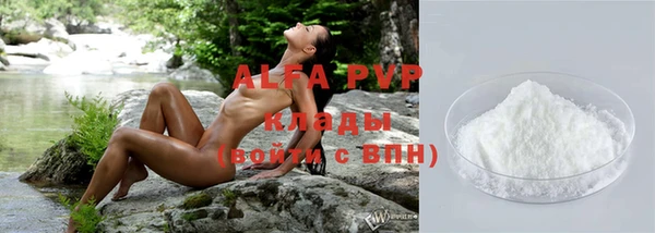 крисы Алзамай