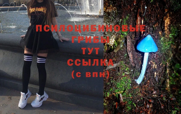 метамфетамин Алексеевка